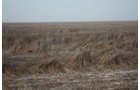 Property photo 15 - Kansas Land Auction - 960 Acres - 7 Farms in 3 Counties